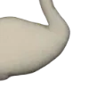 🦢