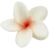 🌸