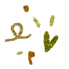 💚