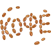 ☕