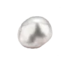 🐚