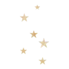 ✨