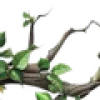 💚
