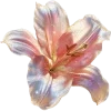 🌸