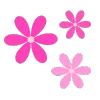 🌸