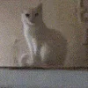 👋