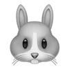 🐰