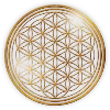 💮