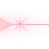 ✨