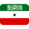 🇸🇴