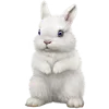 🐇