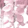 🪉