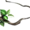 💚