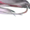 🩷