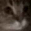 😺