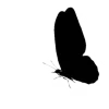🤍