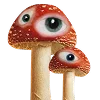 🪄