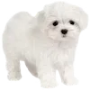 🐶