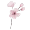 🌸