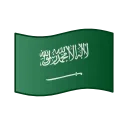 🇸🇦
