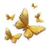 🦋