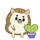 🌵