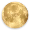 🌕