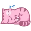 😴