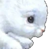 ⭐