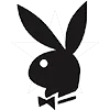 🐰