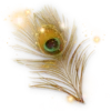 🪶