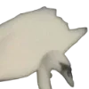 🦢