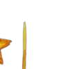 🌟
