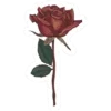 🌹