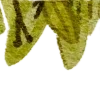 🍃