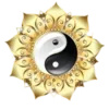 ☯️