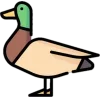 🦆