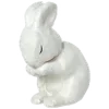 🐇