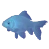 🐠
