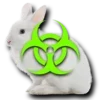 🐇
