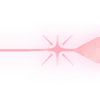 ✨