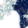 🌊