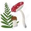 🍄