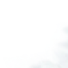 🪉