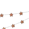 🌟