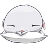😴