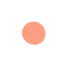 🟠