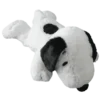 🐶