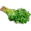 🥦
