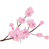 🌸